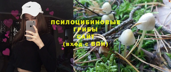 скорость Вяземский