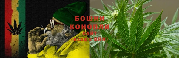 скорость Вяземский