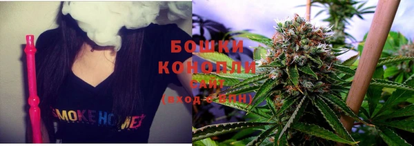скорость Вяземский