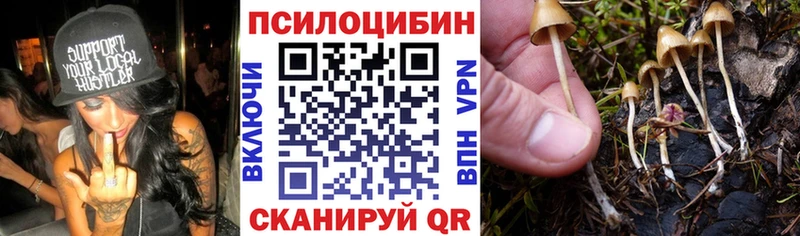 Псилоцибиновые грибы Psilocybine cubensis  mega сайт  Меленки  купить  